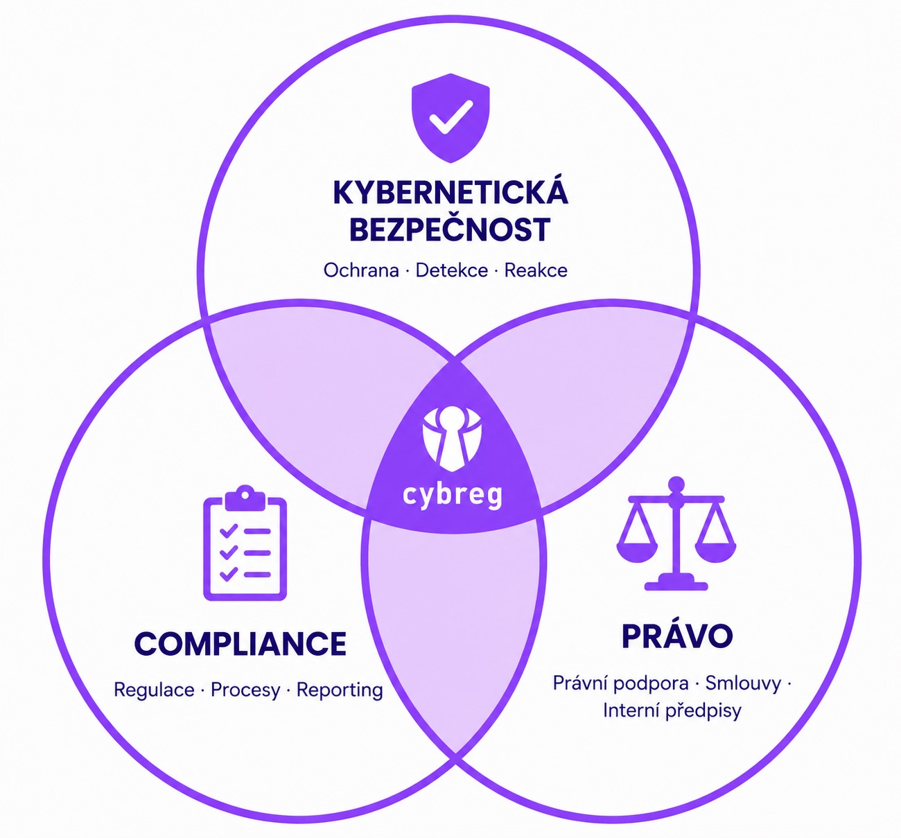 Tým cybreg